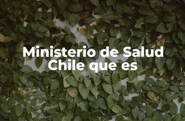 Ministerio de Salud Chile que es