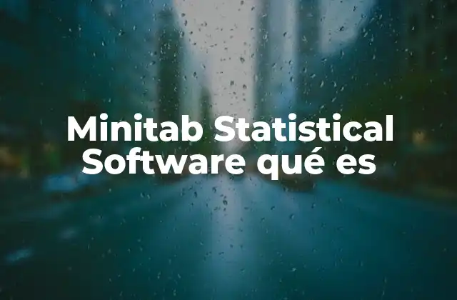 Minitab Statistical Software Qué es