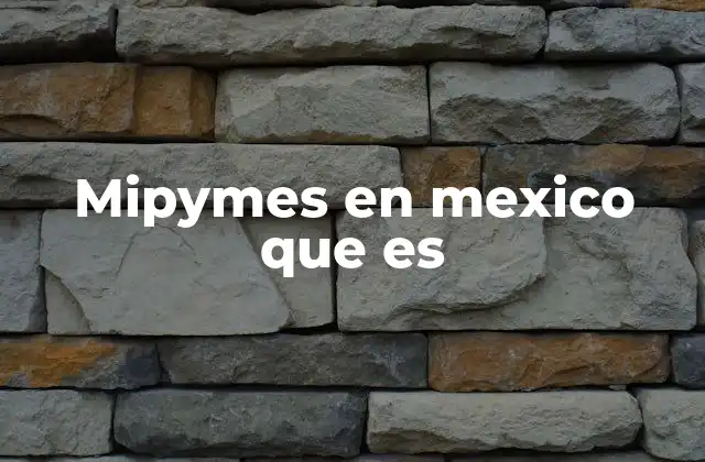 Mipymes en Mexico que es
