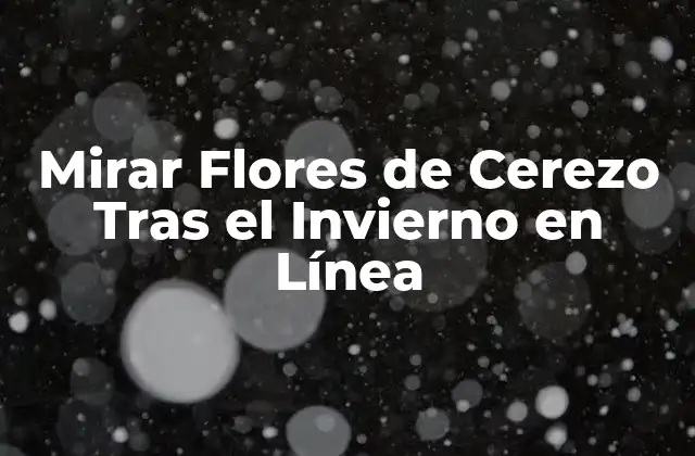 Mirar Flores de Cerezo tras el Invierno en Línea