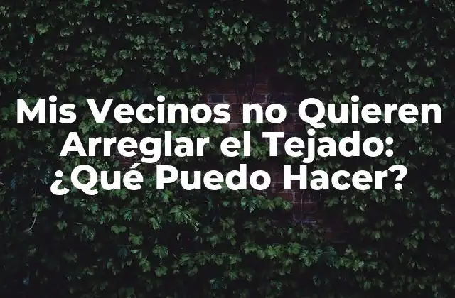 Mis Vecinos No Quieren Arreglar el Tejado: ¿qué Puedo Hacer?