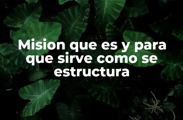 La importancia de tener una misión clara en organizaciones y proyectos personales