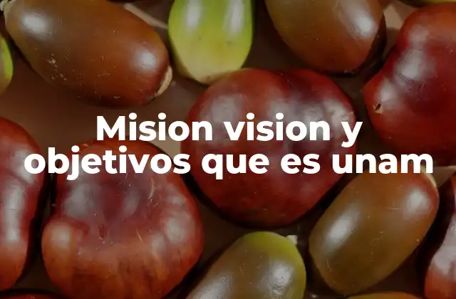 Mision Vision y Objetivos que es Unam