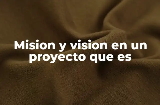 Mision y Vision en un Proyecto que es
