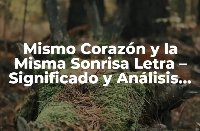 Mismo Corazón y la Misma Sonrisa Letra – Significado y Análisis de la Canción