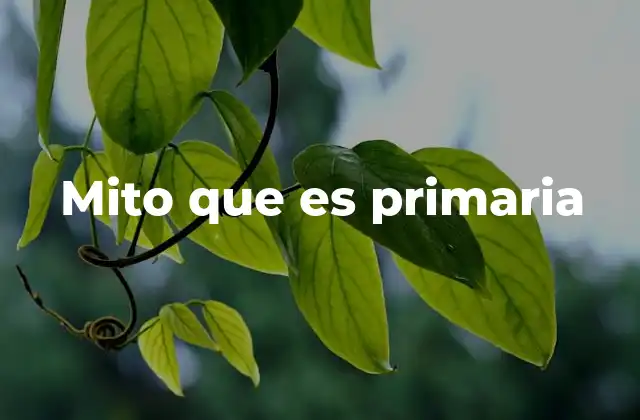 Mito que es Primaria