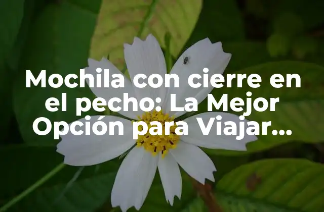 Mochila con Cierre en el Pecho: la Mejor Opción para Viajar Seguro