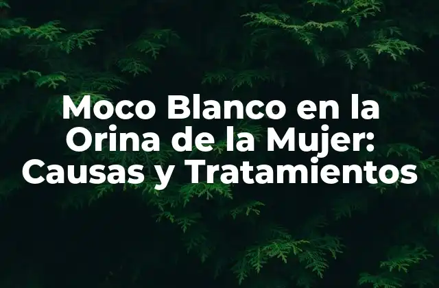 Causas del Moco Blanco en la Orina de la Mujer