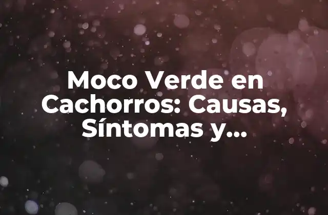 ¿Qué es el Moco Verde en Cachorros?