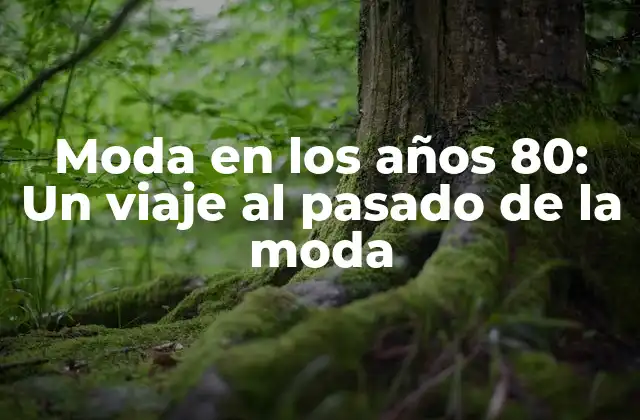 Moda en los Años 80: un Viaje Al Pasado de la Moda