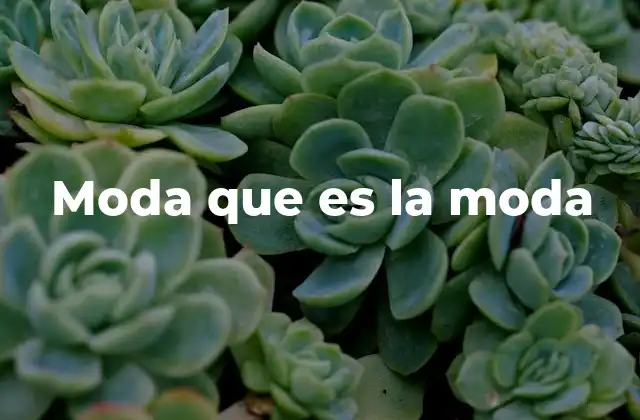 Moda que es la Moda 2 El impacto cultural de lo que se considera popular