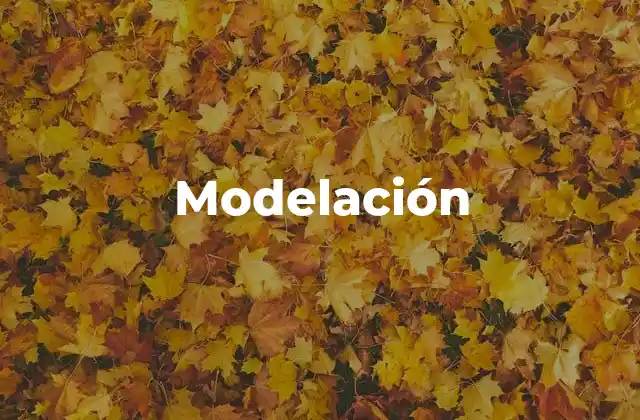 Modelación