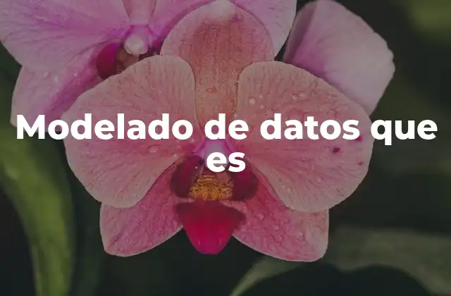 Modelado de Datos que es