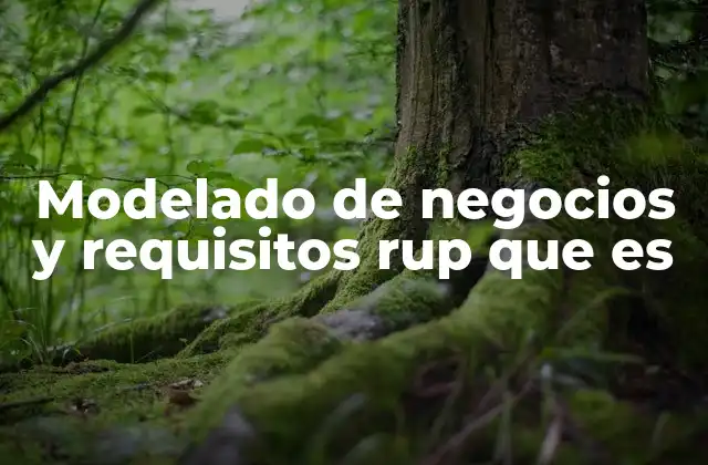 Modelado de Negocios y Requisitos Rup que es