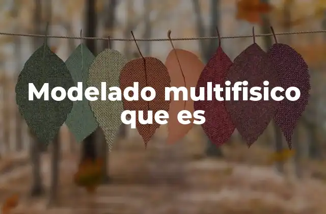 Modelado Multifisico que es