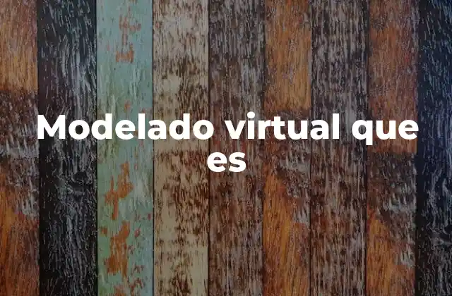 Modelado Virtual que es