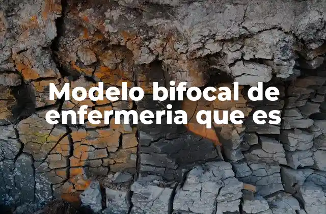 Modelo Bifocal de Enfermeria que es