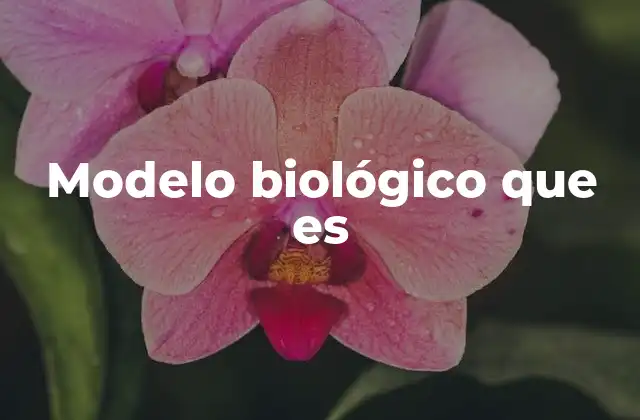 Modelo Biológico que es