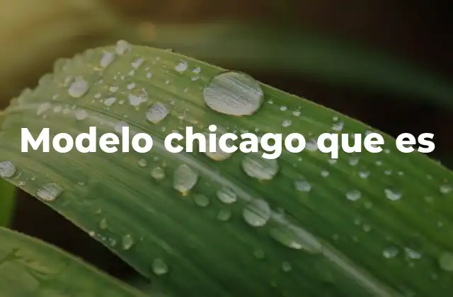 Modelo Chicago que es