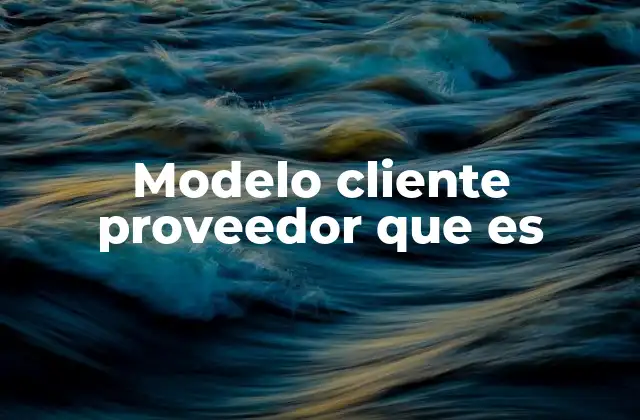 Modelo Cliente Proveedor que es
