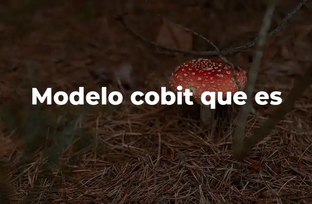 Modelo Cobit que es
