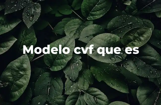 El rol del modelo CVF en el diseño de sistemas