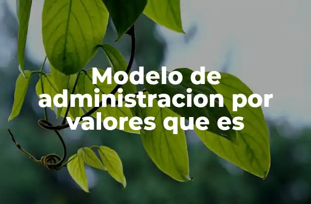 Modelo de Administracion por Valores que es 2 La importancia de los valores en la toma de decisiones empresariales