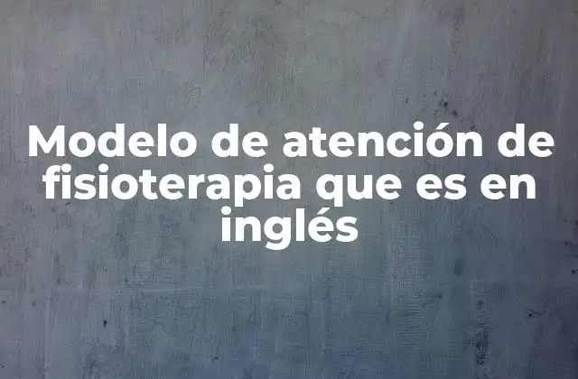 Modelo de Atención de Fisioterapia que es en Inglés