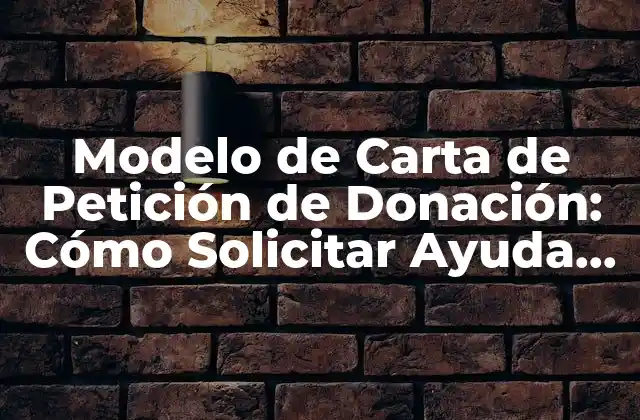Modelo de Carta de Petición de Donación: Cómo Solicitar Ayuda de Forma Efectiva