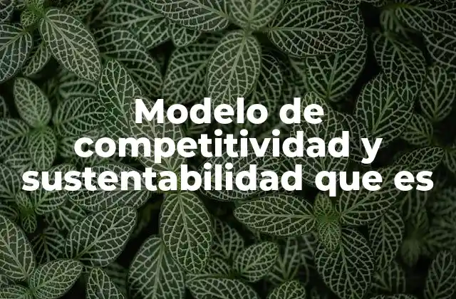 Modelo de Competitividad y Sustentabilidad que es 2 Cómo el enfoque sostenible redefine la competitividad moderna