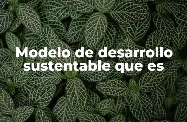 Modelo de Desarrollo Sustentable que es