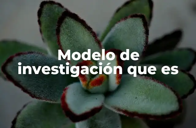 Modelo de Investigación que es