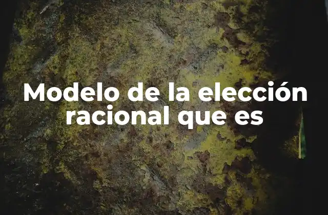Modelo de la Elección Racional que es
