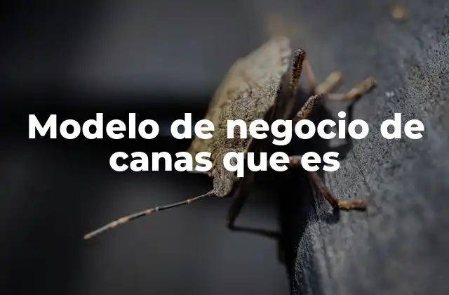 Modelo de Negocio de Canas que es