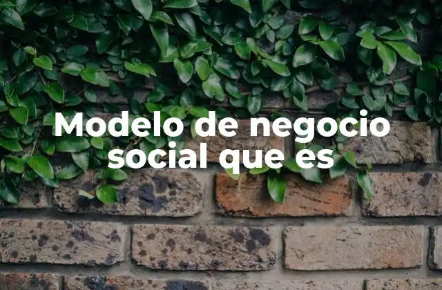 Modelo de Negocio Social que es