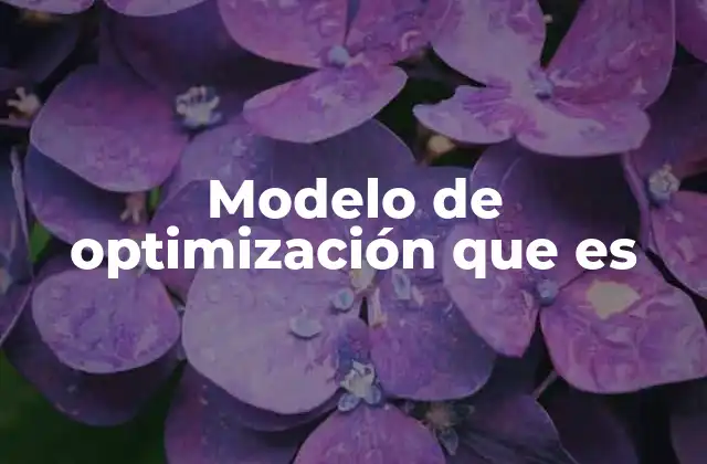 Modelo de Optimización que es