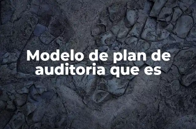 Modelo de Plan de Auditoria que es