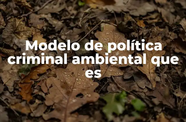 Modelo de Política Criminal Ambiental que es
