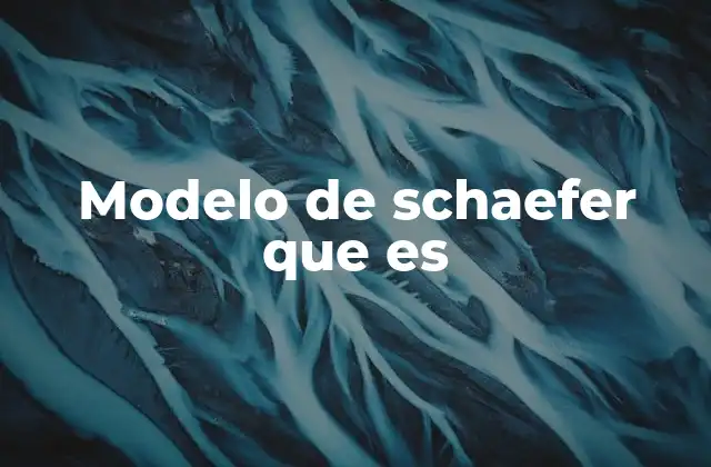 Modelo de Schaefer que es