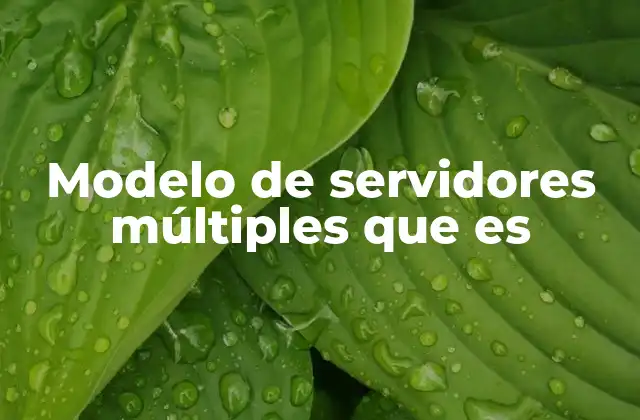 Modelo de Servidores Múltiples que es