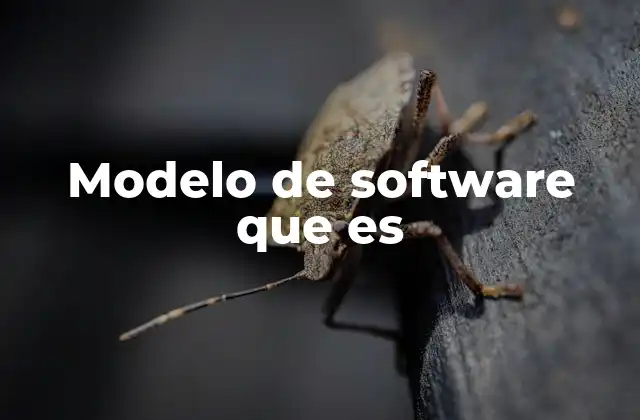 Modelo de Software que es 2 La importancia de los modelos en el ciclo de vida del software
