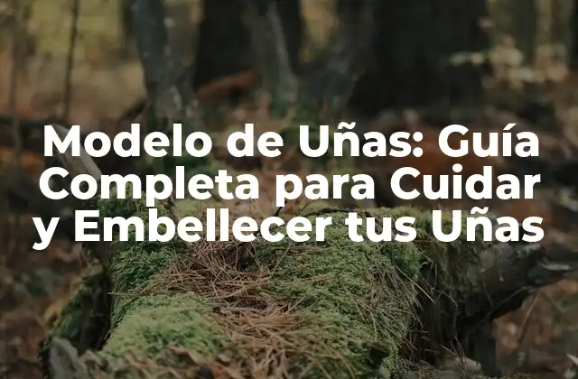 Modelo de Uñas: Guía Completa para Cuidar y Embellecer Tus Uñas 2 Tipos de Modelos de Uñas