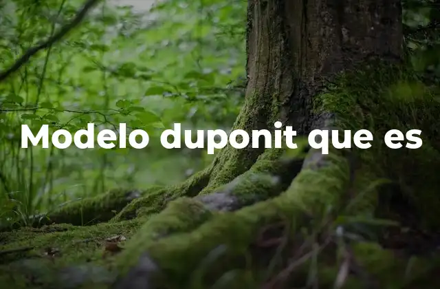 Modelo Duponit que es
