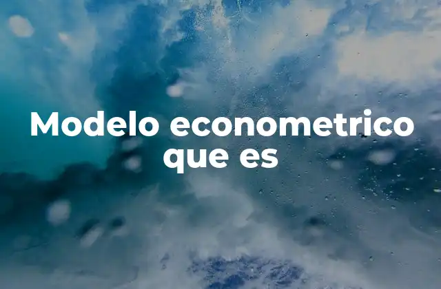 Modelo Econometrico que es