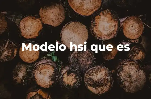 Características principales del modelo HSI