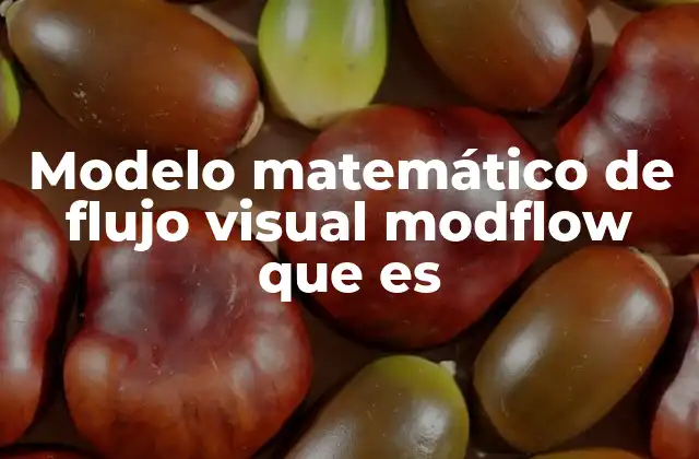 Modelo Matemático de Flujo Visual Modflow que es