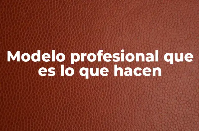 Modelo Profesional que es Lo que Hacen