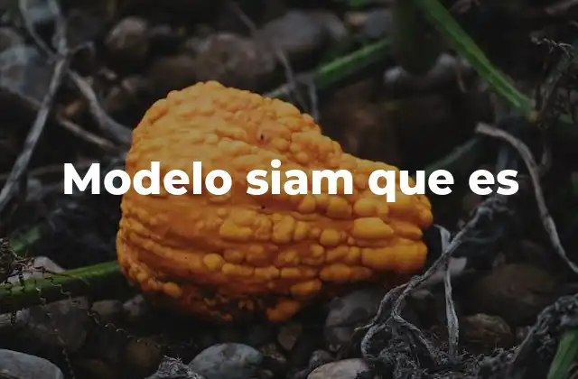 Modelo Siam que es