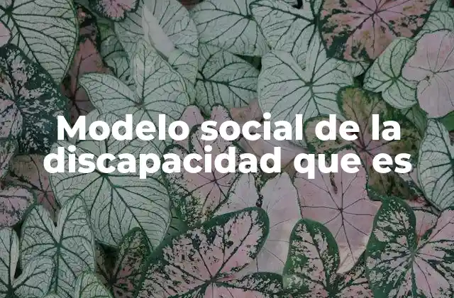 Modelo Social de la Discapacidad que es
