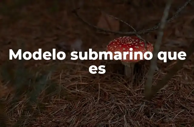 Modelo Submarino que es